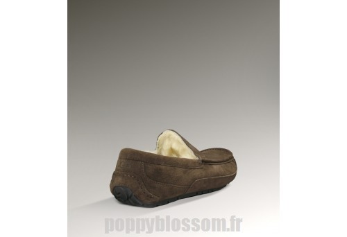 Superbe Ugg Bottes-052 Ascot au chocolat?